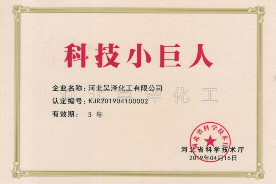 Technology giant certificate